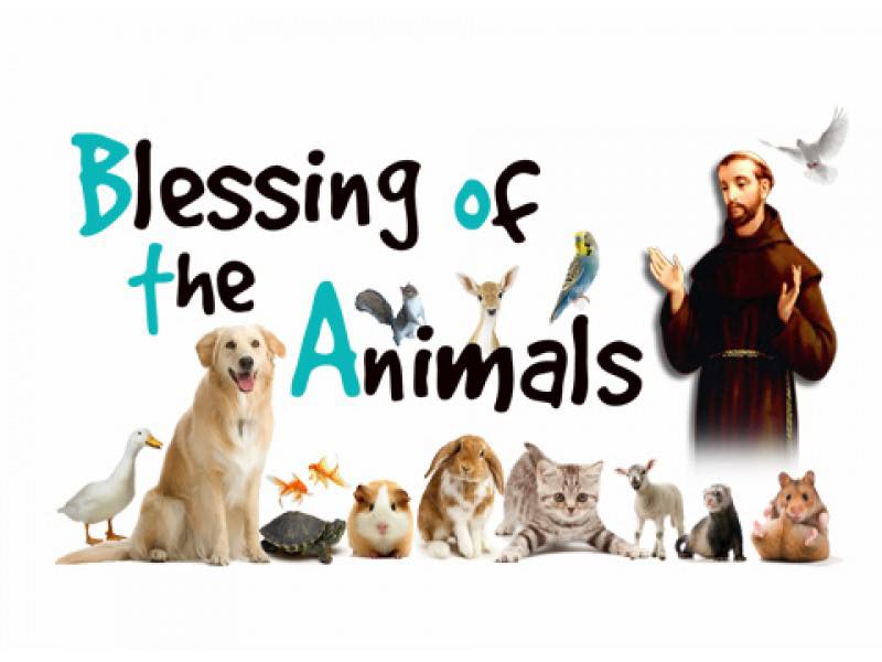 3. Blessing of&nbsp;Pets
